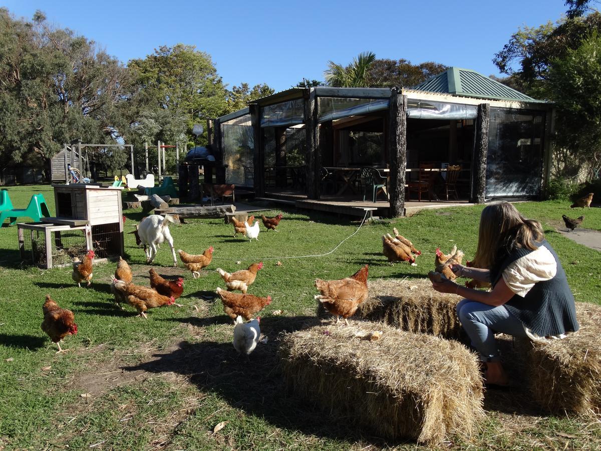 Ripples N Tonic Farmstay Ventnor Exterior foto