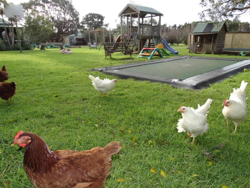 Ripples N Tonic Farmstay Ventnor Exterior foto